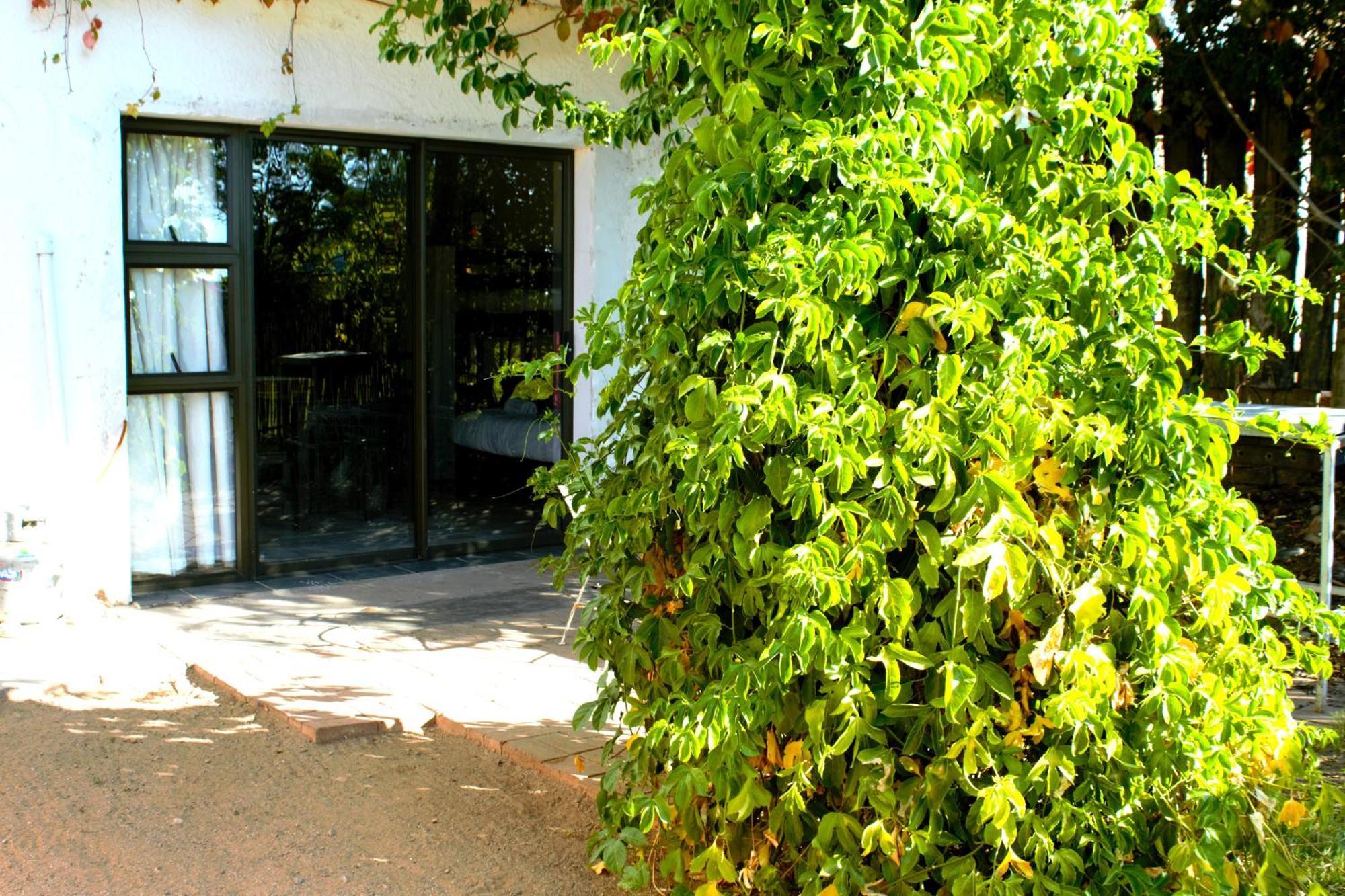Ditsem Guest Farm Upington Exterior foto