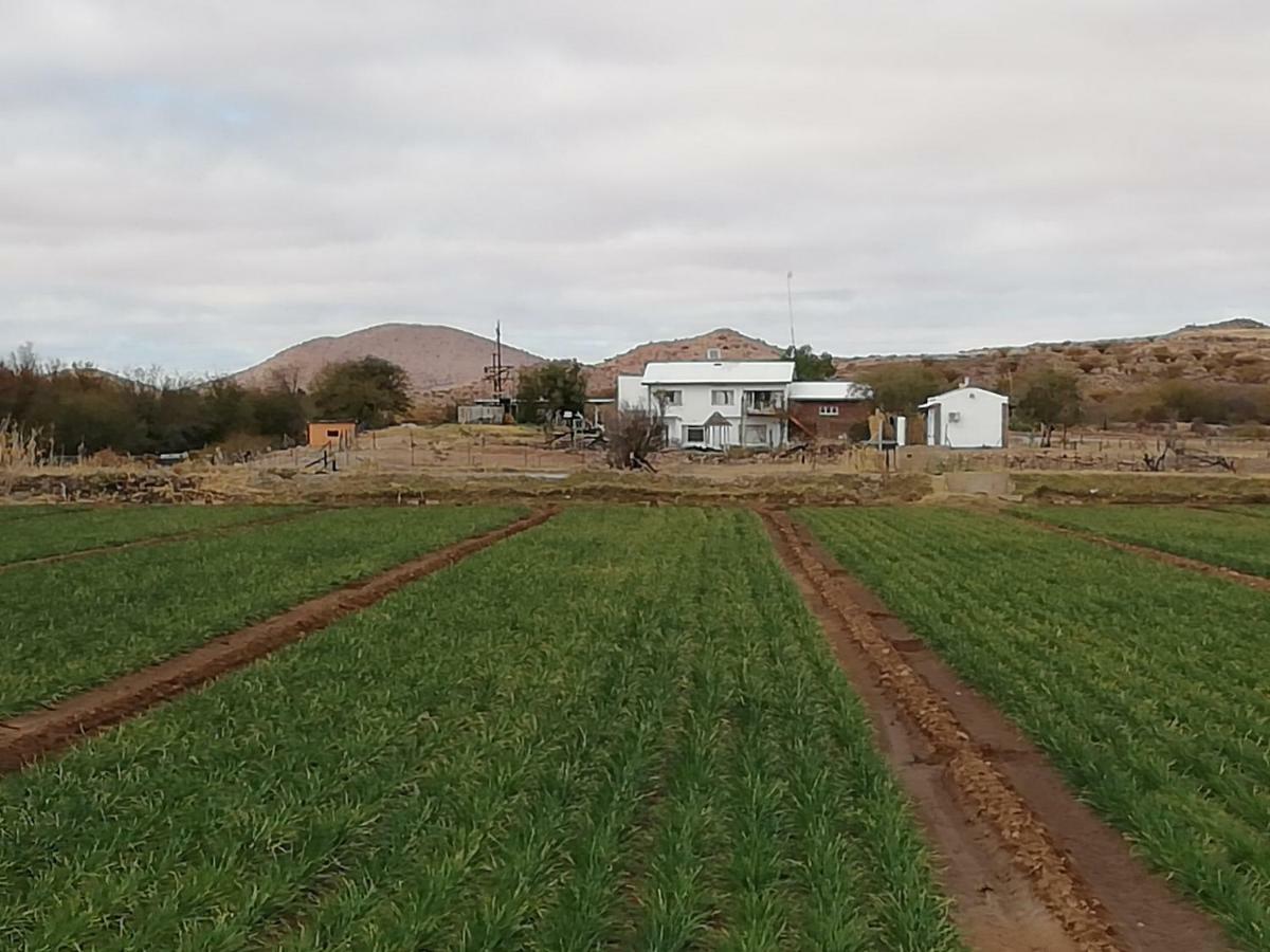 Ditsem Guest Farm Upington Exterior foto